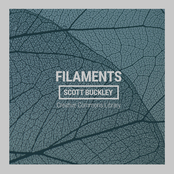Filaments