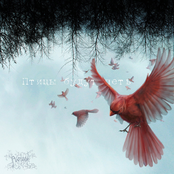 Птицы будут петь