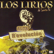 los lirios