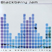 Blackberry Jam: It's a Beautiful Thing