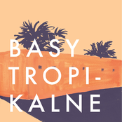 Basy Tropikalne #1 (Latin America)