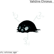 Tofu, Cellulose, Agar