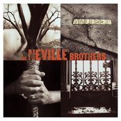 Over Africa by The Neville Brothers