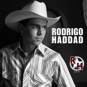 rodrigo haddad