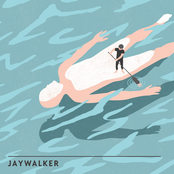 Jaywalker