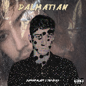 Dalmatian - Single