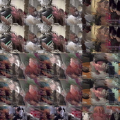 I'm starting to see my reflection