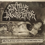 Mutilated Defiled Dismembered