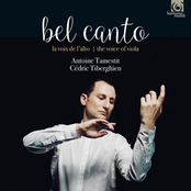Bel Canto: The Voice of the Viola