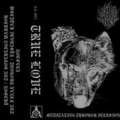 Meditating Through Illusion