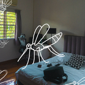 mosquitos in my room
