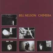 Tender Is The Night by Bill Nelson