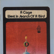 A cage went in search of a bird / white