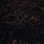 Millions of Them - EP