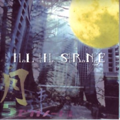 月速5センチメートル