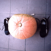 Woke Up In A Mailbox