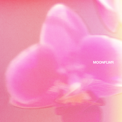 Moonflwr