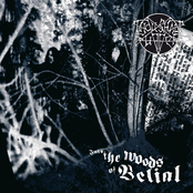 Into The Woods Of Belial by Thou Shalt Suffer