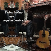 Peter LaVine Plays Agustín Barrios