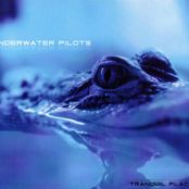 I Will Fly by Underwater Pilots