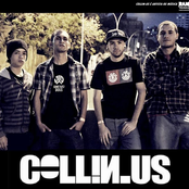 collin-us