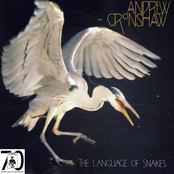 The Language Of Snakes