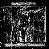 Soured Ambrosia In The Presence Of Suffering