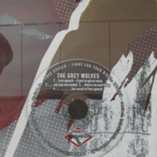 Free Speech - Fight For Your Right