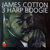 South Side Boogie by James Cotton