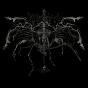 Death's Striking Wings