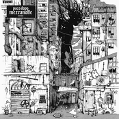 Poco dopo mezzanotte