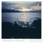 The Breach, A Vast Decade