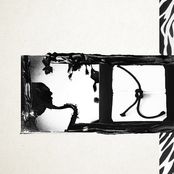 Freeloader Feast - Single