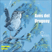Aves del Uruguay