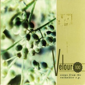 Songs From the Rainwater EP