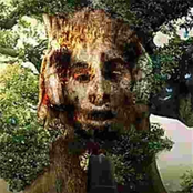 jane didn't "invent iocore", i did