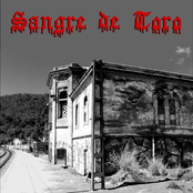 Sangre De Toro