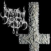 Distímica Devoção Narcótica