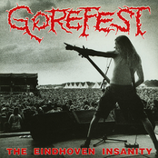 Eindhoven Roar by Gorefest