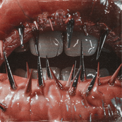 Saltwound: The Temptation of Pain