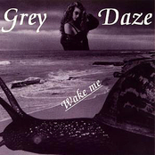 Spin by Grey Daze