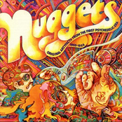 Nuggets: Original Artyfacts From The First Psychedelic Era