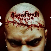 Torn Flesh Records