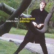 Sixteen Tulips by Tom Verlaine