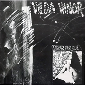 Vilda Vanor