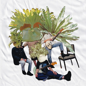 Phantastic Ferniture