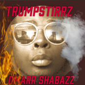 Trumpstirrz