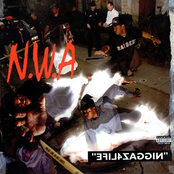 Approach To Danger by N.w.a