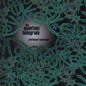 The Quantum Hologram