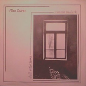 Remain In Dark 7''